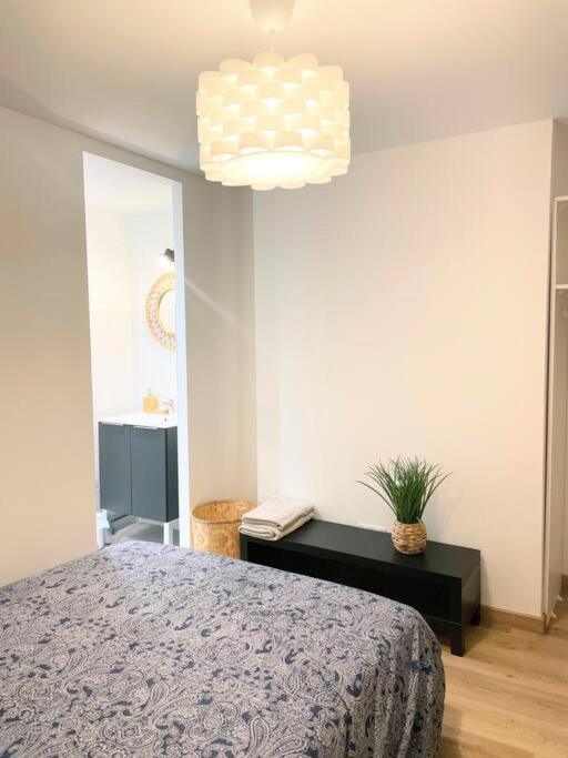 / Cocon \ Paisible Hyper Centre Rodez Daire Dış mekan fotoğraf